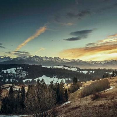 HomeFix Business Strategy Session - Variant 11