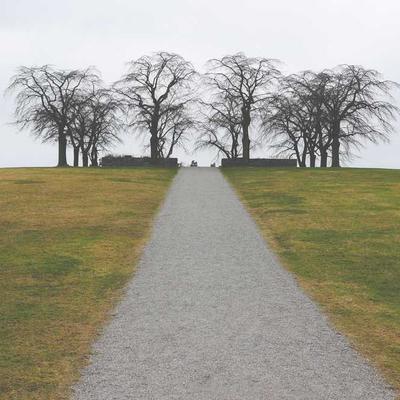 CoverMore Business Suite Subscription - Variant 7