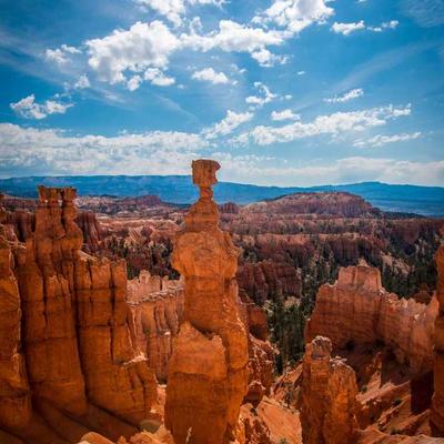 PlanPlus Business Suite Subscription - Variant 9