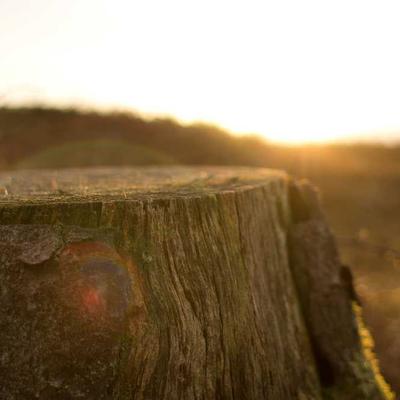 GiftHub Extended Warranty 79-Year Electronics - Variant 9