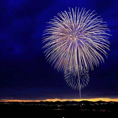Levi's Ankle Boots Suede