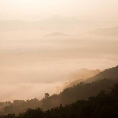 H&M Toddler Overalls Denim