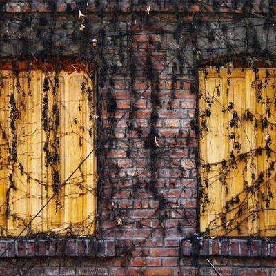 Levi's Dri-FIT Training Shorts