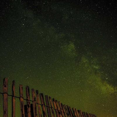 Woolworths Quilted Vest