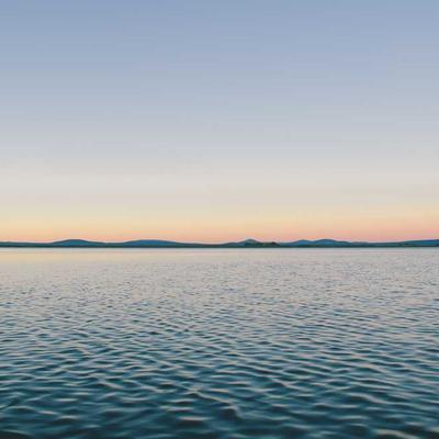 Tommy Hilfiger Bi-Fold Wallet Leather