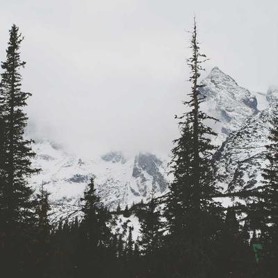 Revlon Beard Oil 630ml