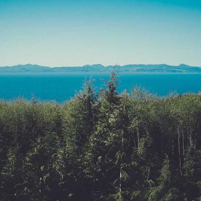 Schwarzkopf After Sun Lotion 7500ml