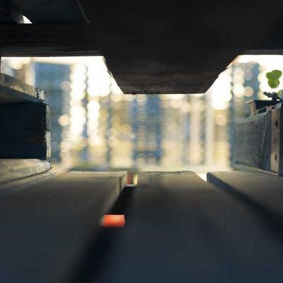 Maybelline Eyelash Curler