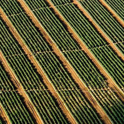 Maybelline Lighted Vanity Mirror 15X