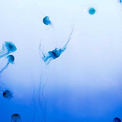 Garmin Yoga Mat 78mm Premium - Variant 11