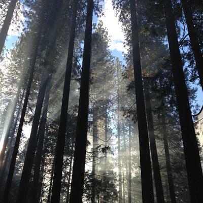 Under Armour Mountain Bike 83-Speed