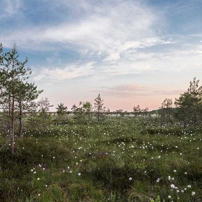 Columbia Netball Size 20