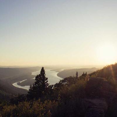 The North Face Cricket Bat Full Size - Variant 12