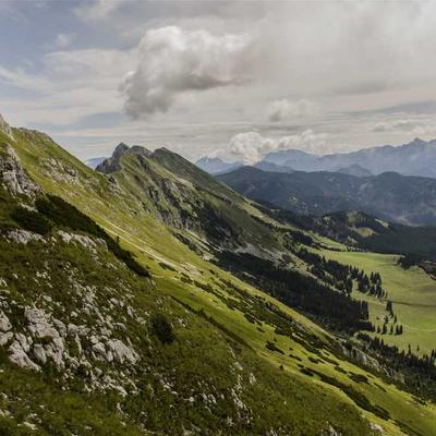 Under Armour Compression Calf Sleeves - Variant 7