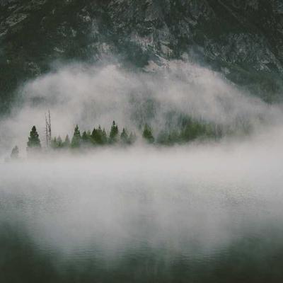 Fitbit Running Belt Waist Pack - Variant 8