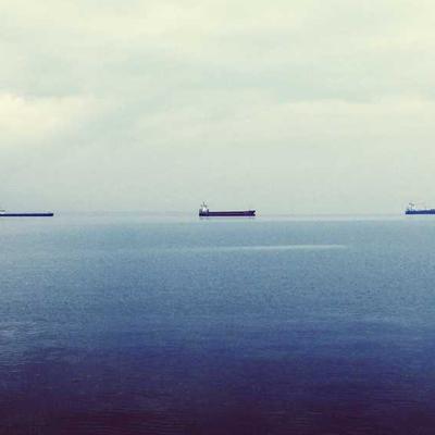 Shimano Reflective Vest Night Run - Variant 10