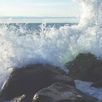 Garmin Protein Bar 7-Pack - Variant 12