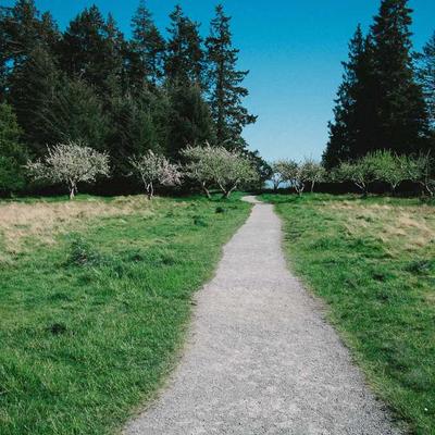 Mattel Baby Doll Interactive - Variant 5