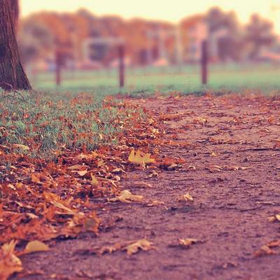 PlayStation Swing Set Double