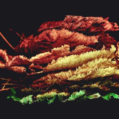 Xbox Beading Kit 2100pc