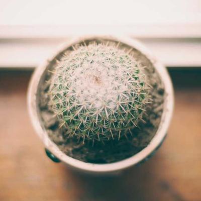 Leuchtturm1917 History of Innovation - Variant 11