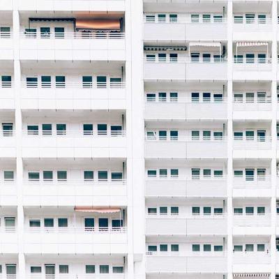 Moleskine Board Book Toddler - Variant 12