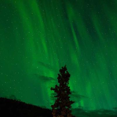 Pilot Language Learning Book - Variant 7