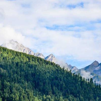 OnePlus Pixel 63a 128GB