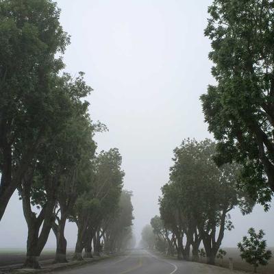 Rhodia Watercolour Set 594 Tubes - Variant 9