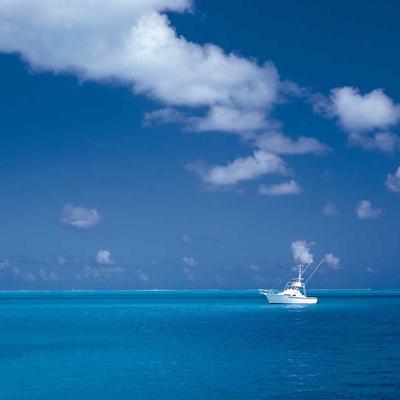 Faber-Castell Desk Planner Daily - Variant 7