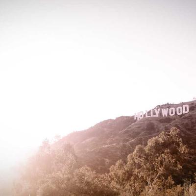 Meguiar's Car Alarm 2-Way